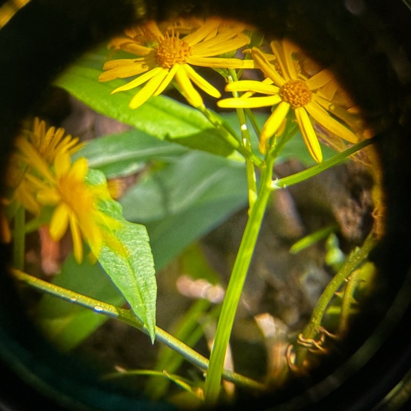 Meet your Posher, - Picture 1 of 1